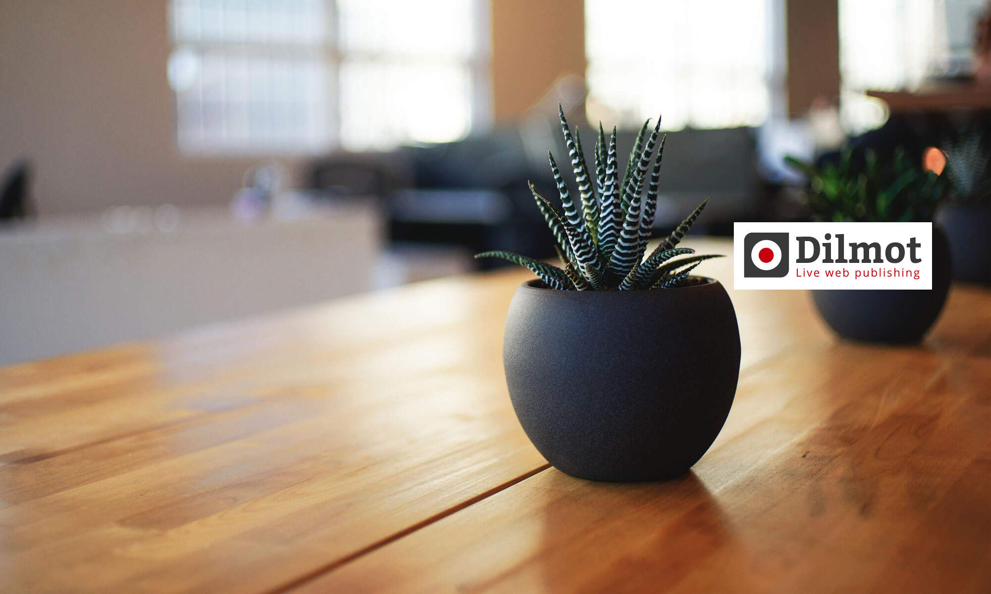 Dilmot Payment Gateway